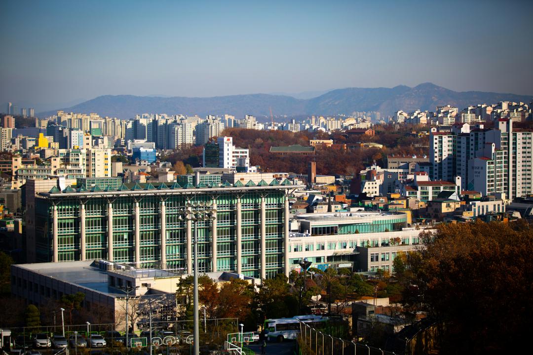성균관대홈페이지제작