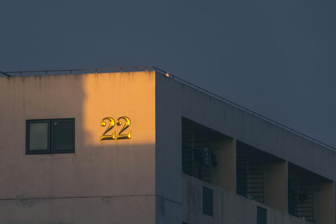 24시동물병원홈페이지제작